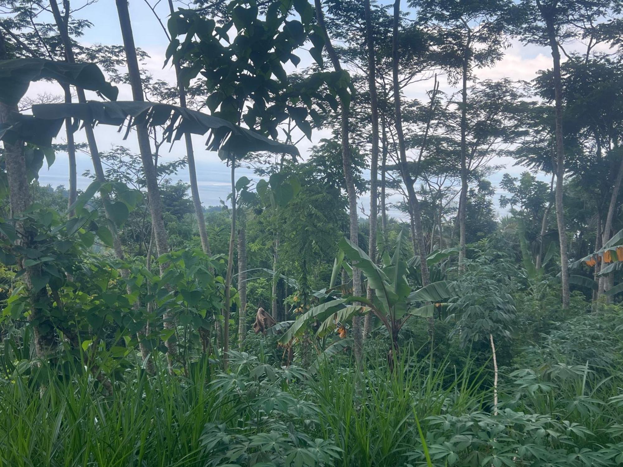 Pondok Manca Undisan Exteriér fotografie